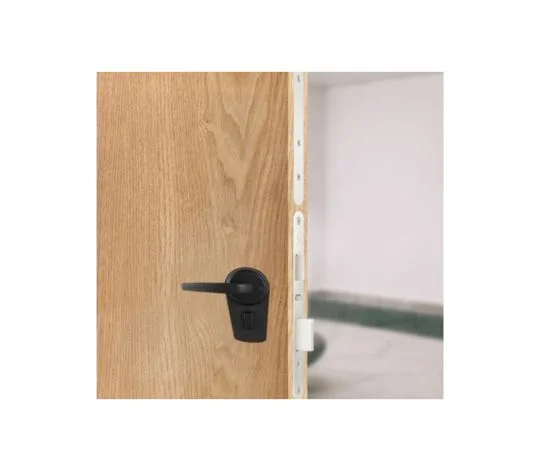 CELESTIA Series Electronic Hotel Lock view 3
