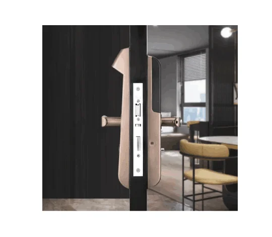 YDM 4115 -A Series, Biometric Smart Lock view 3